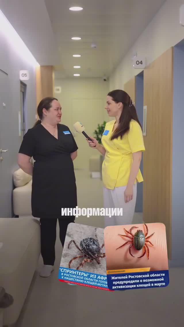 Укус клеща: симптомы и помощь в клинике Евродон