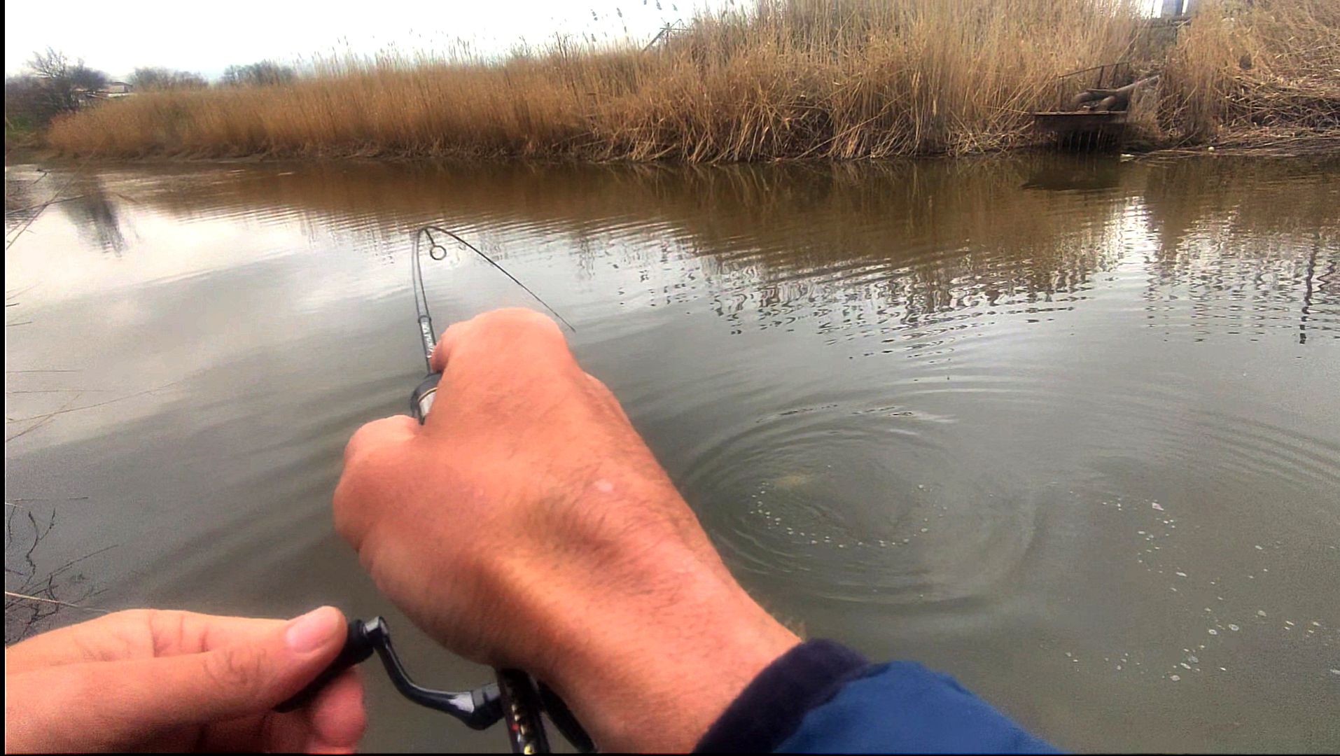 ТРОФЕЙ НА МОРМЫШИНГ! Карась проснулся!