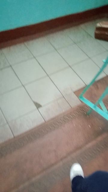 школа 1 А класс