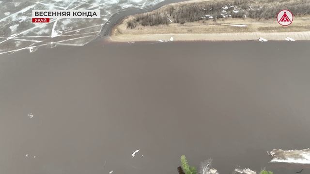 Весенняя река. 07-04-2026