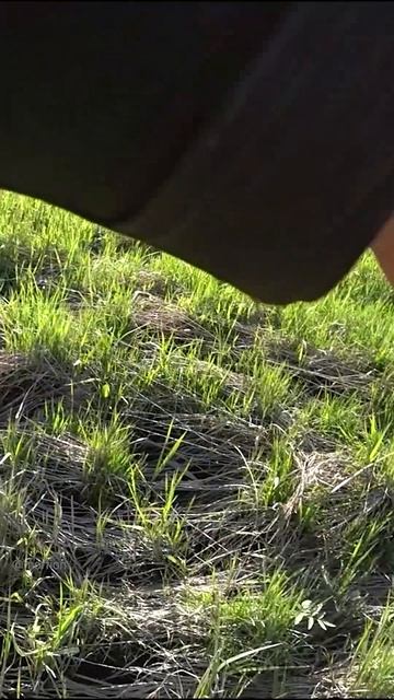 ВОТ ЭТО МАТРОС на МИКРО РЕЧКЕ. Рыбалка на спиннинг