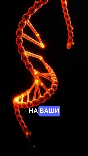 Карма или Гены? Как родовые программы влияют на нас