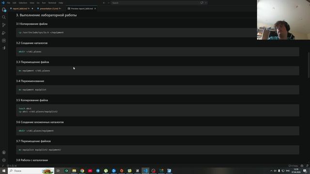 Skrincast_защита_презентации_лаб9