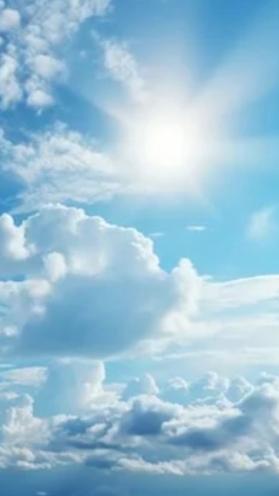 F8cf4b3c595433c29c1abd2eefdd3987