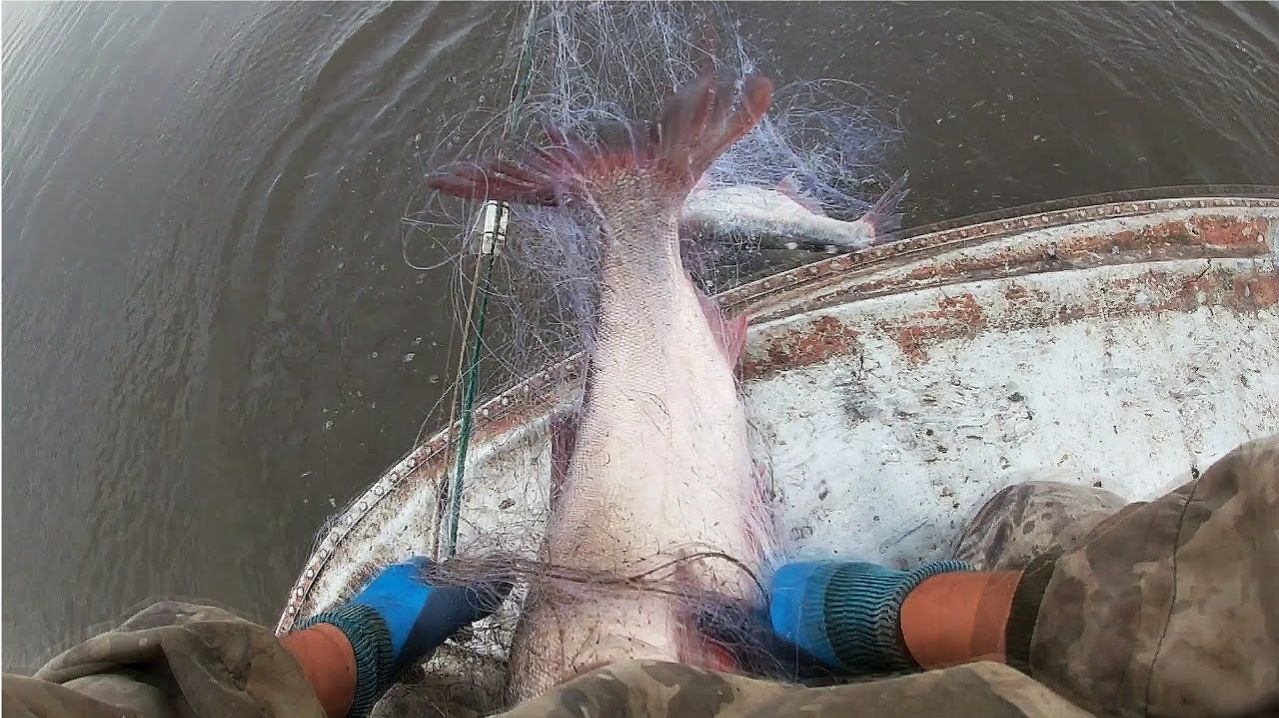 Самая Лучшая Рыбалка 2026. Нашёл Воронку полную Рыбы Крутейшая Рыбалка - Гиганты Рвут Сети на RUTUBE