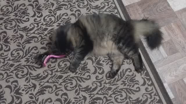 ✅️7 апреля!Мои покупки,обошла владения свои.