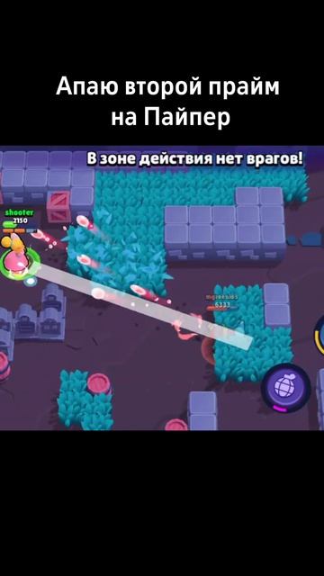 браво старс