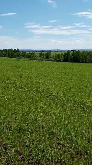 Матушка земля