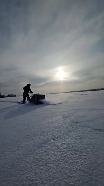 Зима с Койрой - это весело и красиво