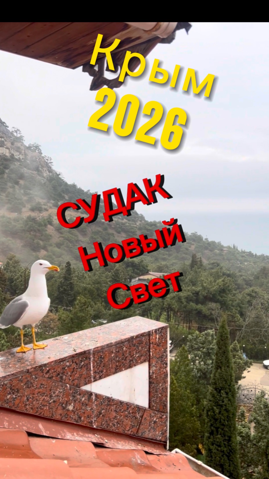 Отдых в Крыму 2026. Судак Новый Свет