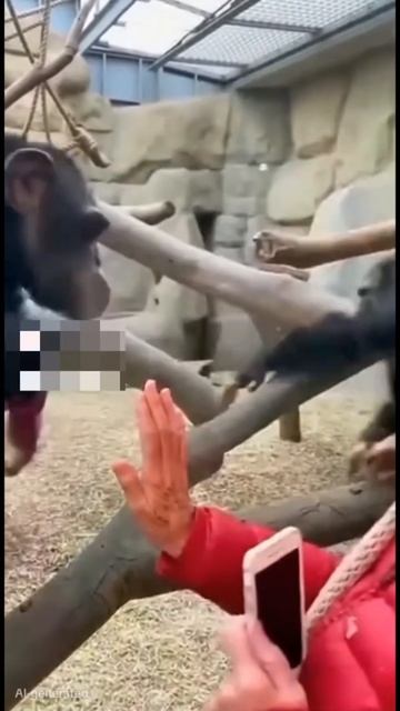 «Мужчина ревнует, потому что слишком любит себя; женщина ревнует, потому что недостаточно любит себя