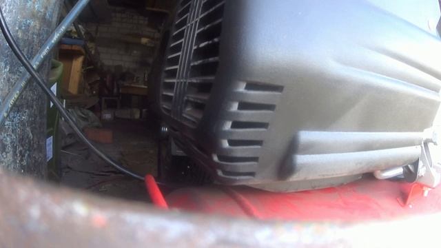 Новая игрушка.