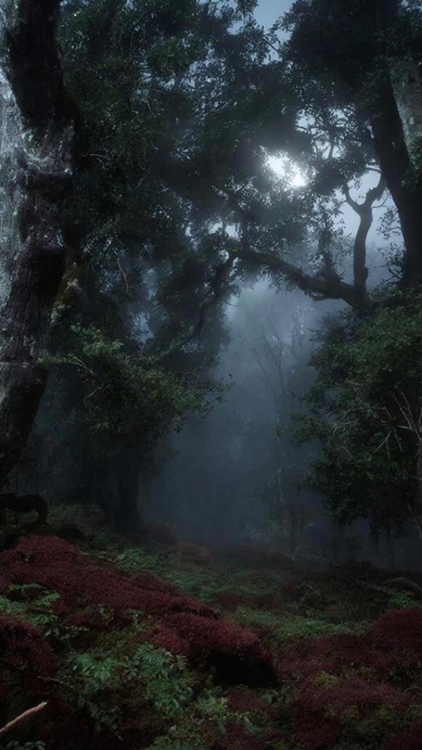 Волшебный Лес