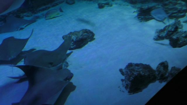 ПО КРУГУ.Видео Татьяны Крестьянсковой