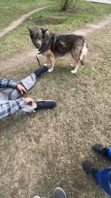 Человек в состоянии алкогольного опьянения, гулял со своей собакой.