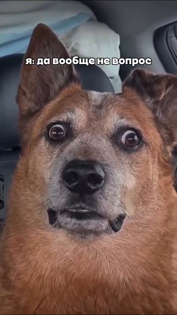 Включай мы все слушаем 🤘🏻😈 #доипосле #надобыломамуслушать #весна #курсор #новаямуызка