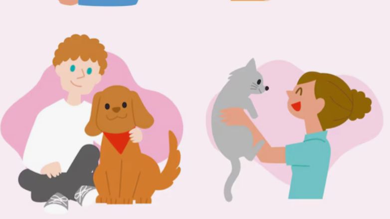 Домашние любимцы . Занятие от 03.04.2026. Педагог Дарченко Татьяна Олеговна