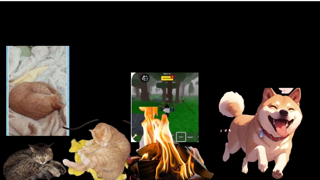 Приключения собаки серия 5 продолжения