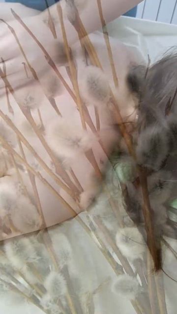 С Вербным воскресеньем