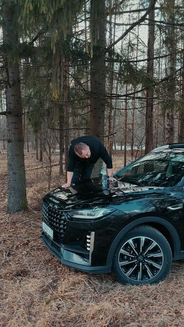 Трансфер Вологда 35