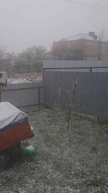 Вот вам и Краснодарский край 7 апреля 2026 г.