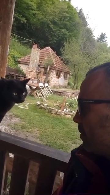 Очень важный разговор на повышенных тонах)))