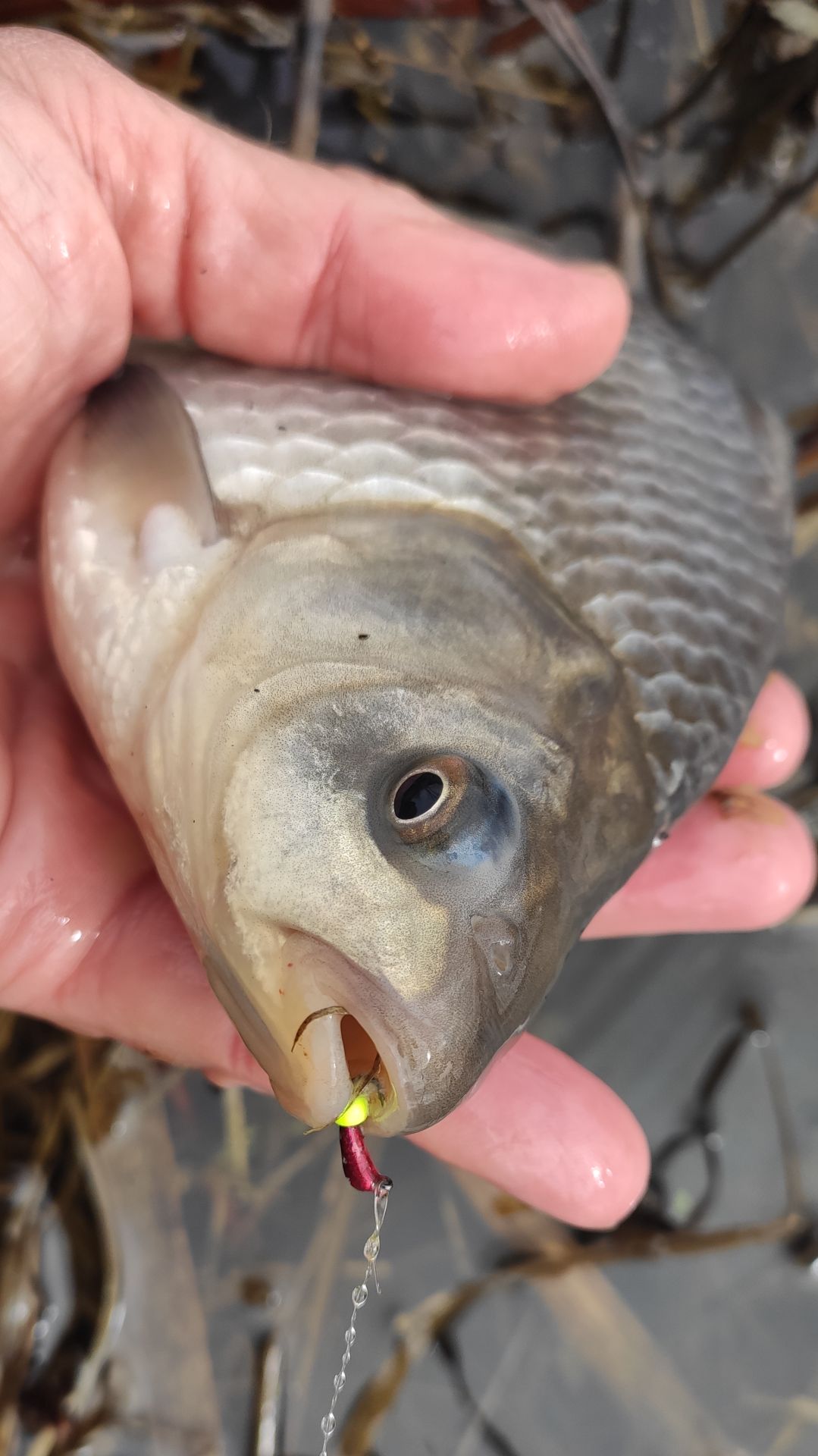 Я ДУМАЛ ЭТО ЗАЦЕП.