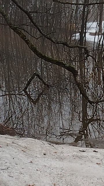 Руна Ингус  — ◇