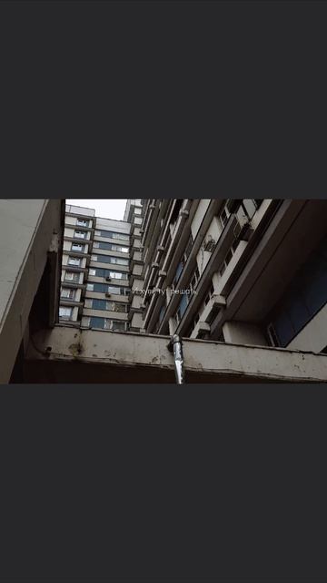 Чертаново вайб