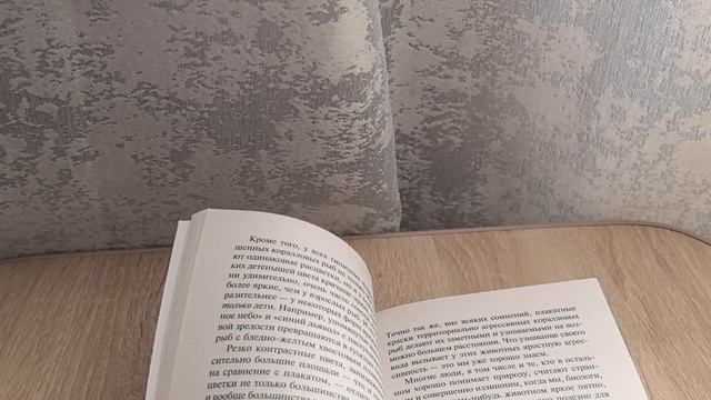 Dbcf748c37420a43ffdb411ffd1b0963