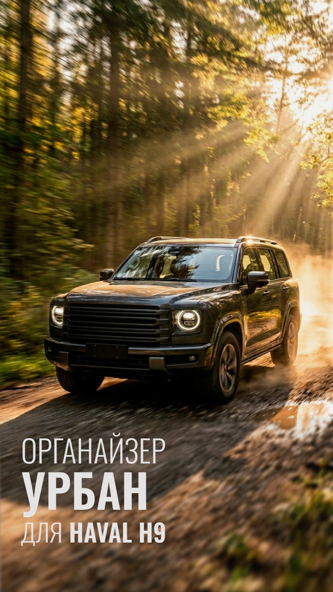 Органайзер Урбан в Haval H9