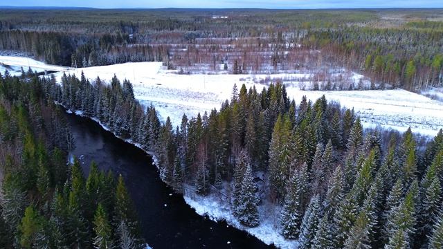 Тяжелые времена: безнадежность и потеря #война #горе #утрата
