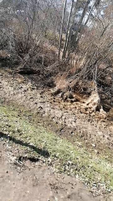 ЛЕНОБЛАСТЬ  _20260406_103921