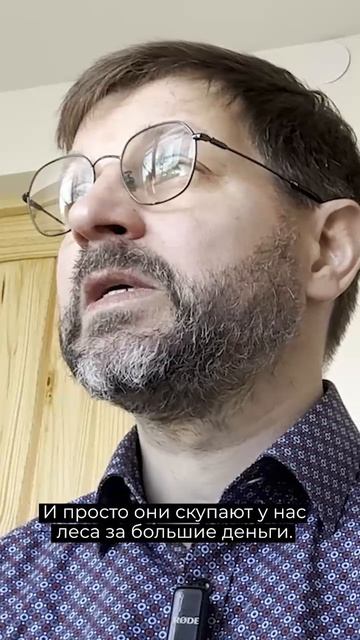 В Литвы масштабно воруется древесина