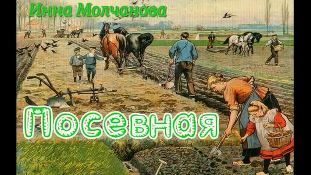 ПИСЬМО ЛЮБИМОМУ НА ФРОНТ #читает_автор