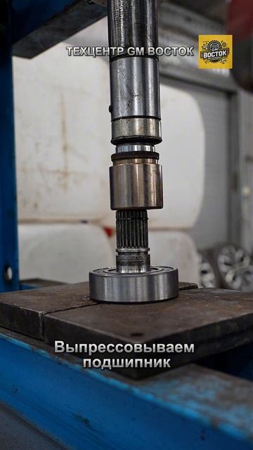 🚨 Слышите гул сзади на Cadillac XT5? 🔊