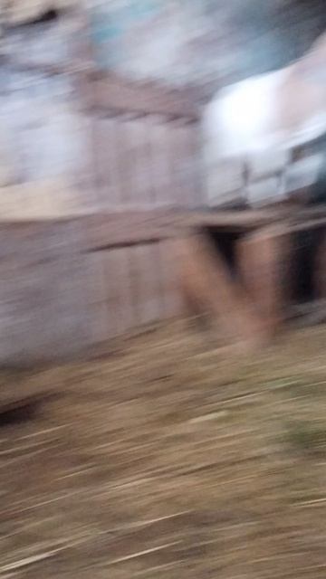 тройняшки милашки ☺️