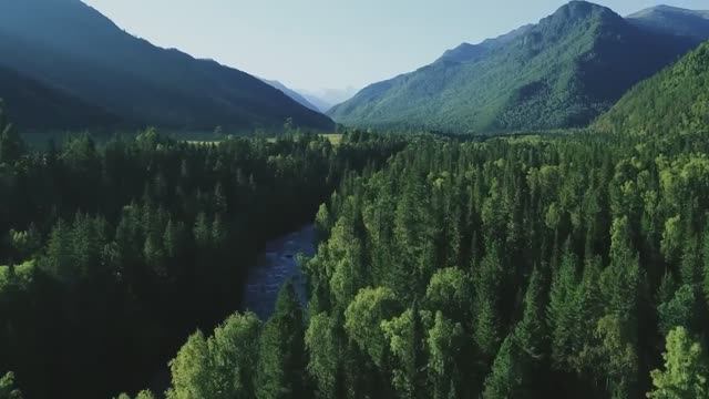 Вся сила суровой сибирской природы в продукции Siberian Wellness!