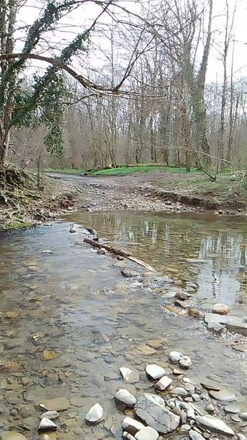 VID_20260329_104833.mp4