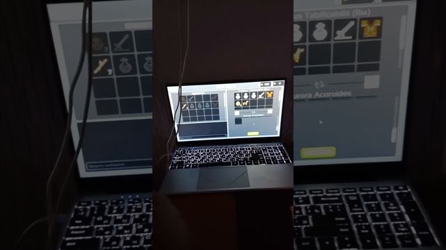 рейд особняка