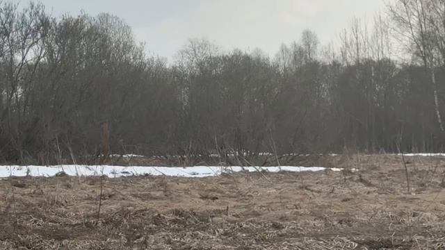 д. Пушкино 50:18:0080430:849