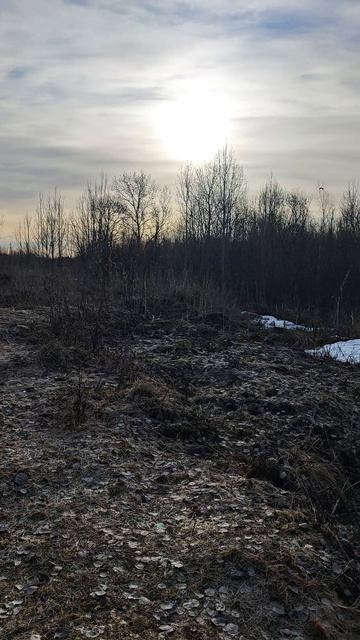 07.04.26. #доброго_утра