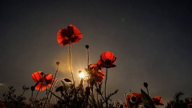 Тропиночка (Людмила/Гурин-Москва слезам не верит).mp4