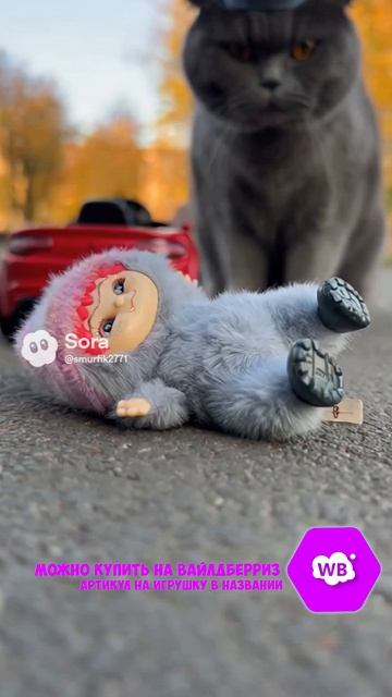 ПОЛНОМОЧИЯ Артикул на ВБ: 497842441 #игрушки #мягкиеигрушки #wakuku #вакуку #popmart #letsvan