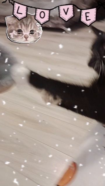 💖💖💖💖💖💖💖💖😻😻😻