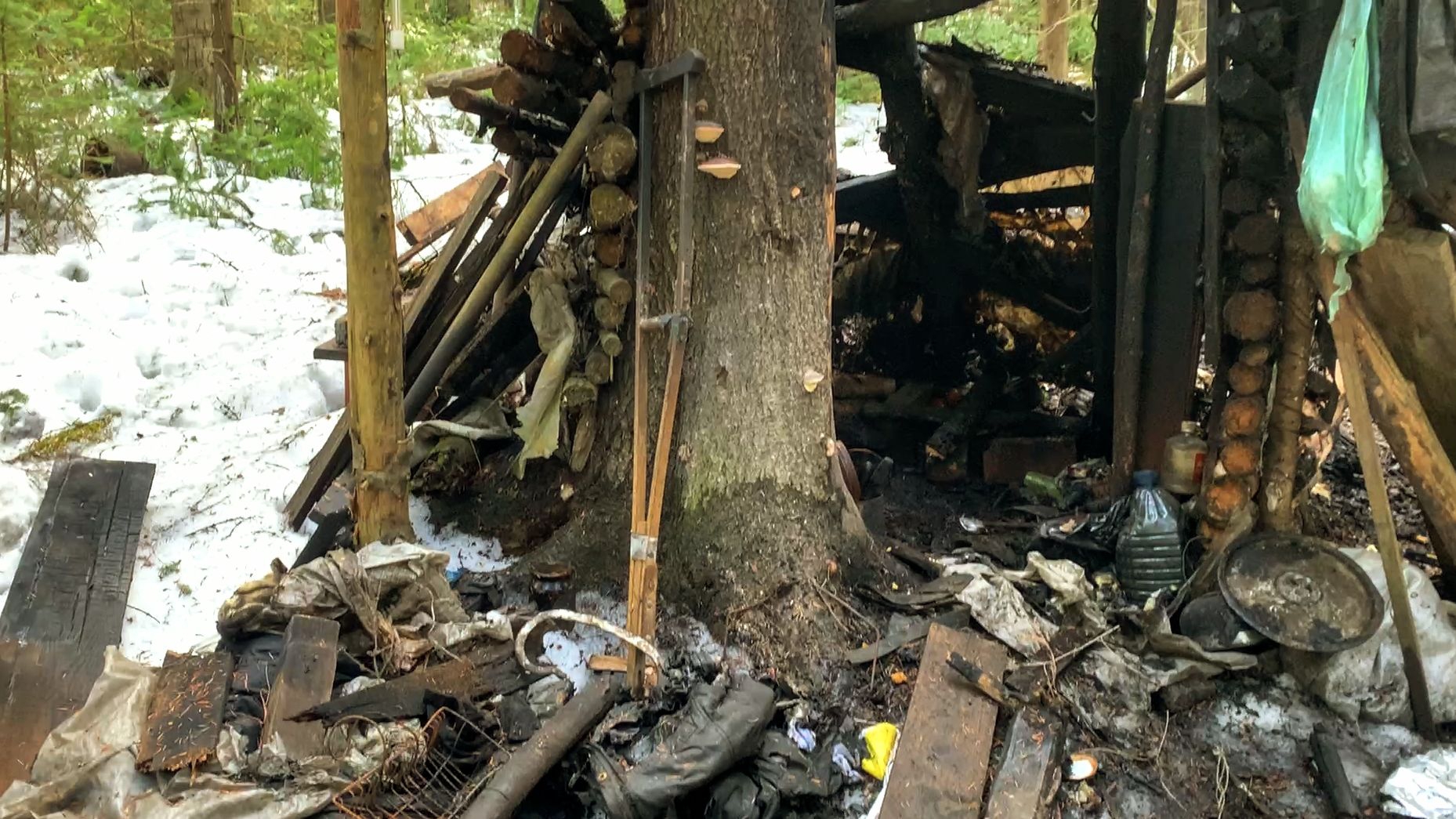 БЕДА,БЕДА (Рыба в Пруду Сдохла,Избу в Тайге Сожгли)