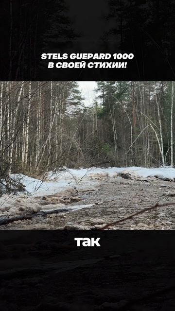 STELS GUEPARD 1000 В СВОЕЙ СТИХИИ!