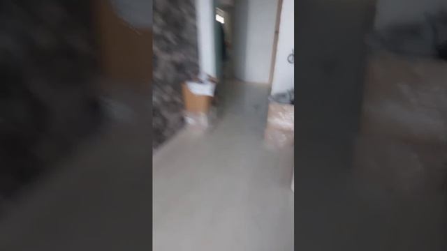 делаю по дому то что вы напишите в чатик