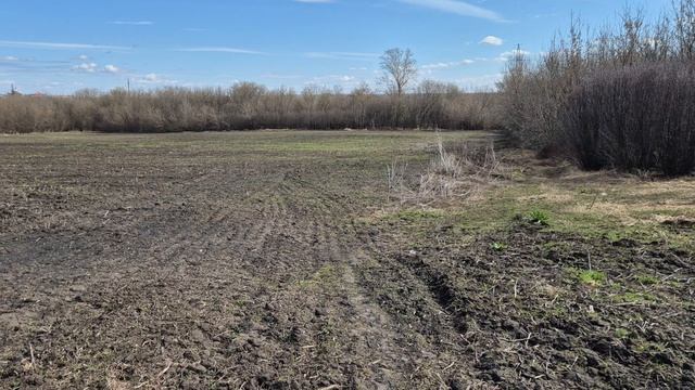 Разговор о клещах, в этом году кошмар просто