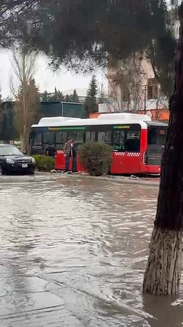 ПЕЧАЛЬНАЯ ИСТОРИЯ